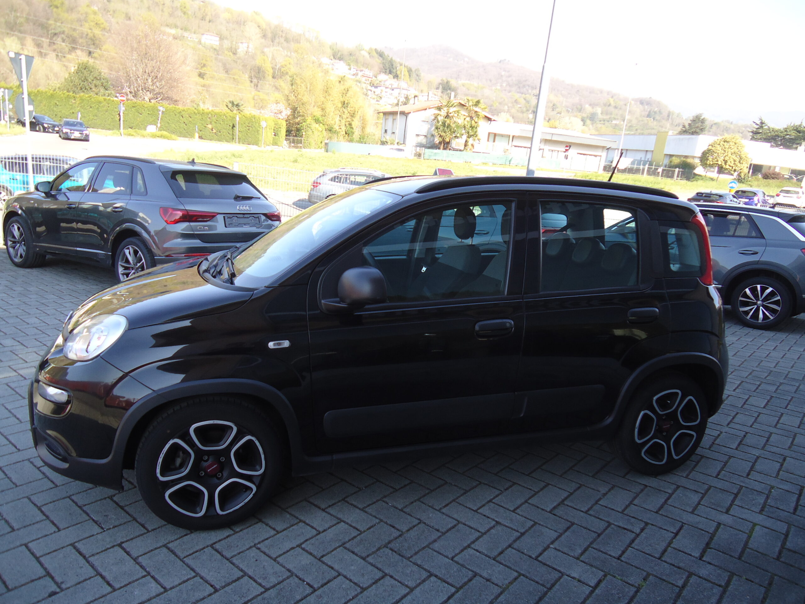 
								panda full									