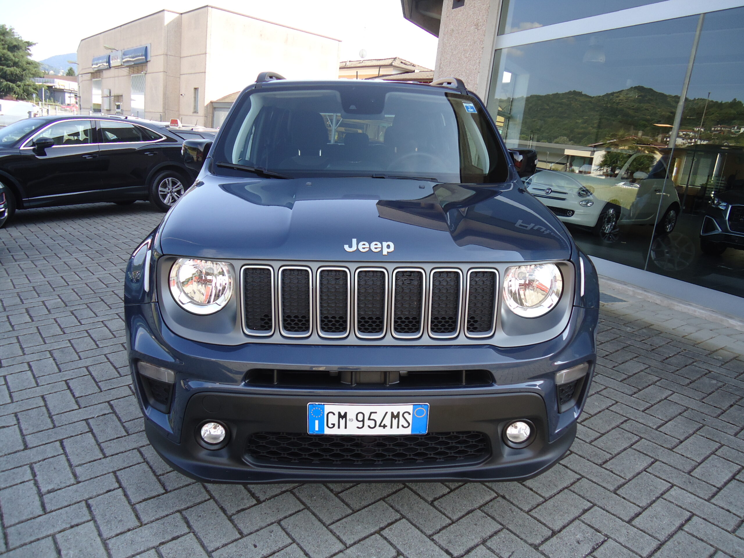 
								JEEP RENEGADE full									