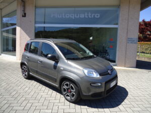 PANDA GRIGIA