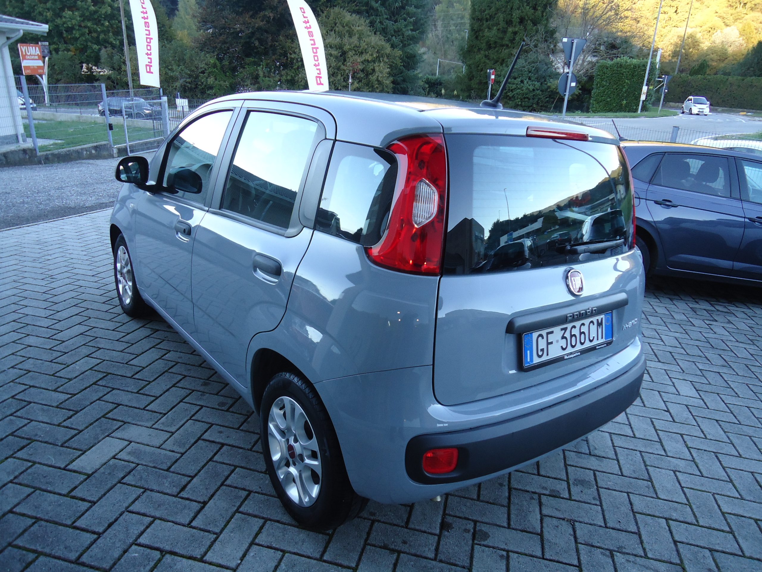 
								panda gr full									
